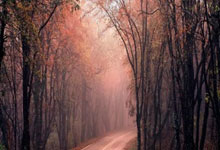 “艾顿盛赞詹姆斯末节关键表现：挺身而出，力挽狂澜！”