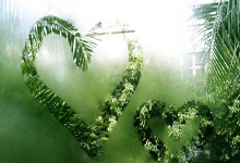 “特朗普获和平奖引嘲讽：美媒调侃其“和平”定义独特”