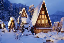 揭秘苟仲文：从苟局到仲文同志的蜕变之路