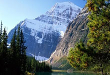 安世中国郑重声明：坚守诚信，维护行业秩序